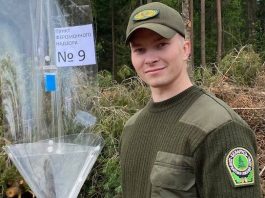 Как в Борисовском опытном лесхозе борются с жуком-короедом Как в Борисовском опытном лесхозе борются с жуком-короедом