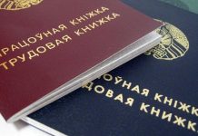 Какие документы нужны школьникам и студентам для трудоустройства, напомнили в Минтруда