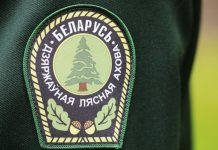 Гослесохрана в выходные перейдет на усиленное патрулирование в связи с повышенной пожароопасностью