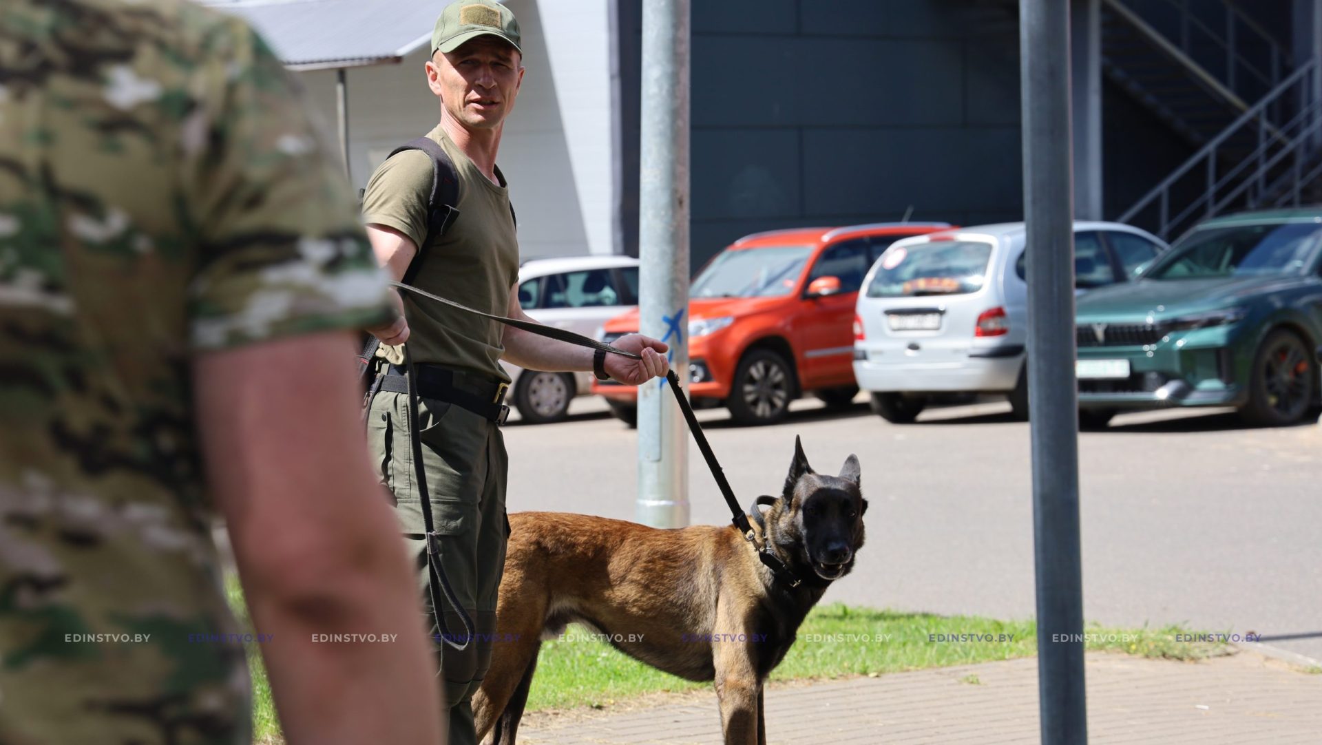 Учебный сбор специалистов-кинологов проходит на базе Борисовского отдела Департамента охраны МВД