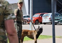 Учебный сбор специалистов-кинологов проходит на базе Борисовского отдела Департамента охраны МВД