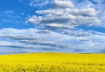 «Кожная пятніца — роднае, сваё». Красота родной Беларуси в кадрах борисовчан