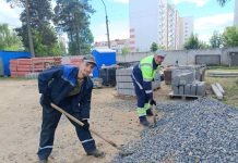 Молодежь Борисовщины вышла на социальный субботник в рамках Республиканского марафона молодежи и студенчества