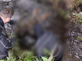 В Борисовском районе нашли тело пропавшего рыбака: мужчину искали более недели В Борисовском районе нашли тело пропавшего рыбака: мужчину искали более недели