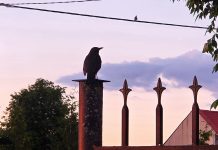 Лето, остановись: кадры, наполненные теплом. Фоторепортаж