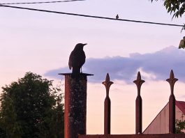 Лето, остановись: кадры, наполненные теплом. Фоторепортаж