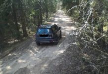 Нарушителя запрета на посещение лесов в Борисовском районе зафиксировала фотоловушка