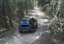 Нарушителя запрета на посещение лесов в Борисовском районе зафиксировала фотоловушка