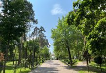 В городском парке Борисова 5 и 6 июня пройдут дискотеки. Делимся афишами