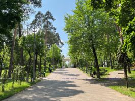 Районный праздник «День молодежи и студенчества» пройдет в Борисове 27 июня
