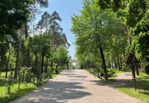 Какие мероприятия пройдут в городском парке Борисова 12 и 13 июня