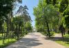 В городском парке Борисова 5 и 6 июня пройдут дискотеки. Делимся афишами