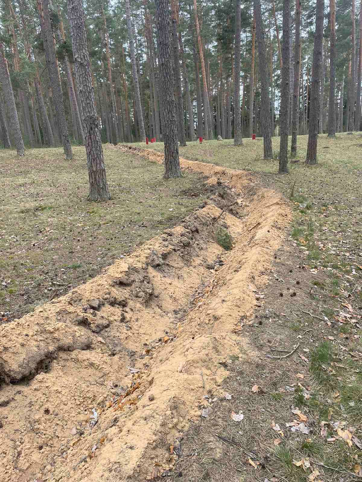 Как в Борисовском опытном лесхозе защищают лес от пожаров