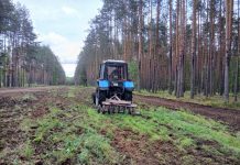 Как в Борисовском опытном лесхозе защищают лес от пожаров