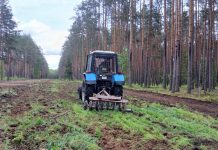 Как в Борисовском опытном лесхозе защищают лес от пожаров