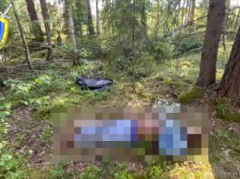 Вблизи границы с Латвией обнаружено очередное тело беженца