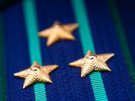 Прокуратура Минской области выявила нарушения законодательства при заготовке кормов в хозяйствах