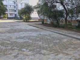 Как благоустраивается общий двор трех борисовских многоэтажек