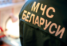 спасатели проведут обследование жилых домов в Борисовском районе