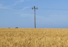 Уборка урожая и электробезопасность. Как избежать трагедии