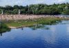 В Борисове матрос-спасатель ОСВОД спас тонувшую женщину на реке Березина