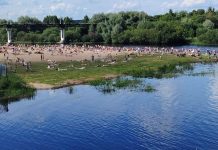 На Борисовщине за купание в запрещенных местах оштрафовано 10 человек, 56 получили предупреждения