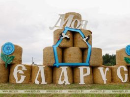 Композиции и фигуры из соломы украсят поля Минской области