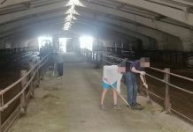 В Борисове не работающих ранее судимых привлекли к общественно-полезным работам