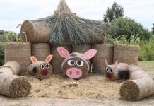 В Минской области продолжается конкурс соломенных фигур