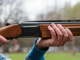 Охота на лося, оленя благородного и лань в период гона откроется 20 августа