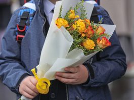 Как продавать самостоятельно выращенные цветы без ИП: налоги и правила в Беларуси