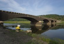 Более 100 городов Германии ввели ограничения на потребление воды из-за жары
