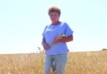 Кабинет агронома – поле. 28 лет на сельскохозяйственной ниве трудится Людмила Хацкевич