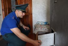 Специальное профилактическое мероприятие стартовало в Борисовском районе
