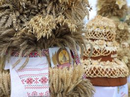 Как на Борисовщине отметят районные «Дажынкі» и 500-летие агрогородка Зембин: программа мероприятия