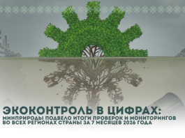 Минприроды подвело итоги проверок и мониторингов во всех регионах страны за 7 месяцев 2026 года