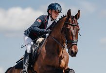 Конный спорт: бронза Анастасии Шклянковой