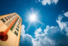 Температура в Беларуси превысит +35°С: службы усилили контроль в местах отдыха и на дорогах
