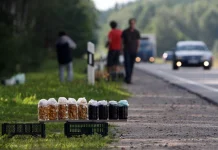 Вниманию участников дорожного движения: о недопустимости торговли вдоль автодорог