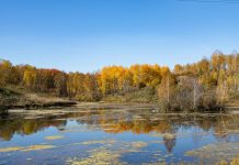 Купальный сезон закрыт: ОСВОД напомнил о правилах безопасности на воде осенью