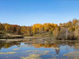 Купальный сезон закрыт: ОСВОД напомнил о правилах безопасности на воде осенью