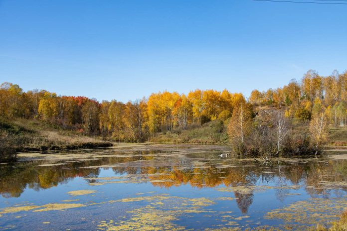 Купальный сезон закрыт: ОСВОД напомнил о правилах безопасности на воде осенью Купальный сезон закрыт: ОСВОД напомнил о правилах безопасности на воде осенью