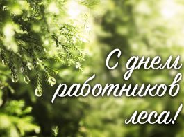 Николай Карпович: «Своей работой вы обеспечиваете рациональное использование лесных ресурсов, приумножаете лесные богатства» Николай Карпович: «Своей работой вы обеспечиваете рациональное использование лесных ресурсов, приумножаете лесные богатства»
