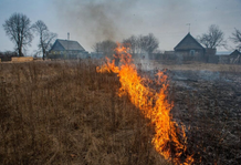 Спасатели напоминают: выжигание сухой травы наносит ущерб природе