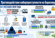 Как работают над защитой от киберугроз правоохранители Борисовщины