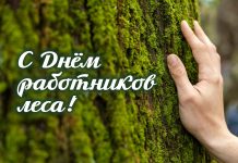 Губернатор Алексей Кушнаренко поздравил с Днем работников леса