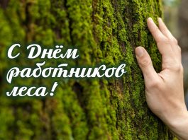 Губернатор Алексей Кушнаренко поздравил с Днем работников леса Губернатор Алексей Кушнаренко поздравил с Днем работников леса