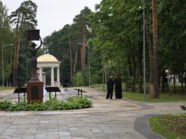 Модельный показ, вечера танцев и спортивный праздник: какие мероприятия пройдут в городском парке Борисова