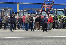 Фермеры Молдовы вышли на протесты, требуя продлить защиту от украинского зерна