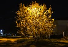 Октябрь: найти моменты для себя. Фоторепортаж